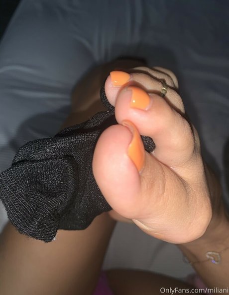 Miliani pornstar top img