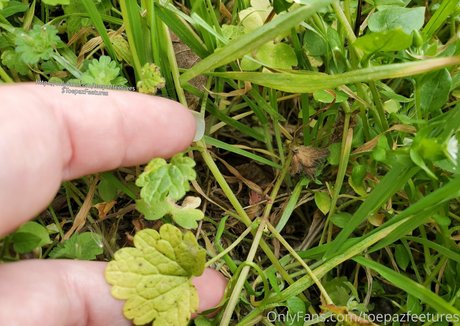 pierced onlyfans hd images