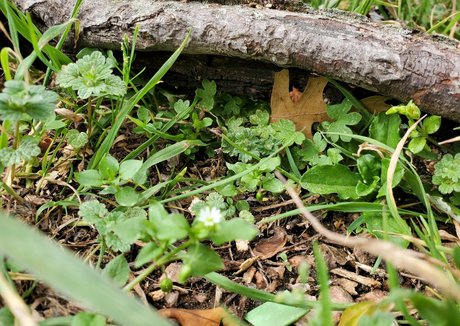 live streaming onlyfans top pic