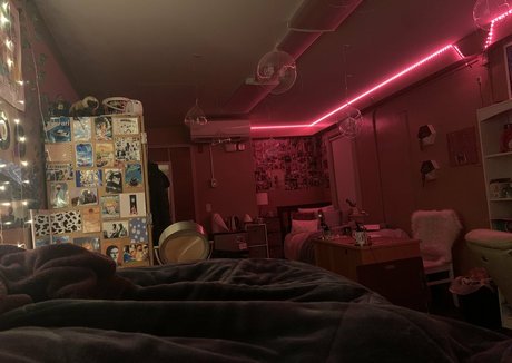 sofia gains star hd images