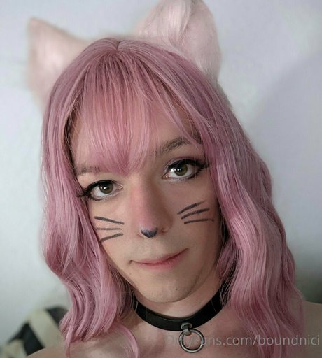 boundnici model best image