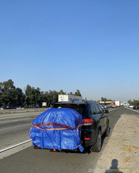 soularouge pornstar art pics