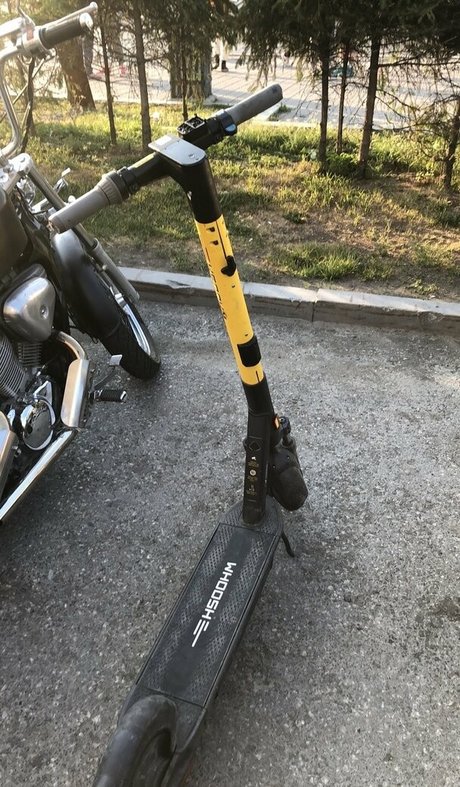 brown eyes kitty onlyfans art nude pictures