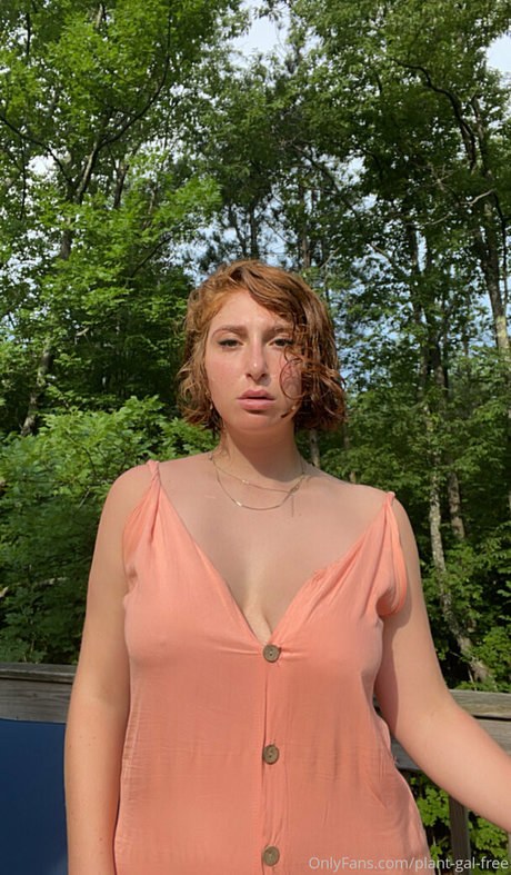 plant gal free star perfect galleries