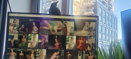 anal interracial onlyfans sexy nude archive