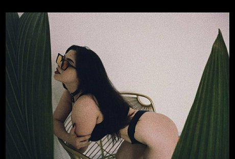 wildboobs top pornstar images