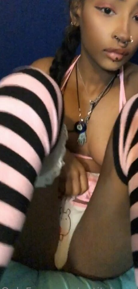 petitchepii star free photo