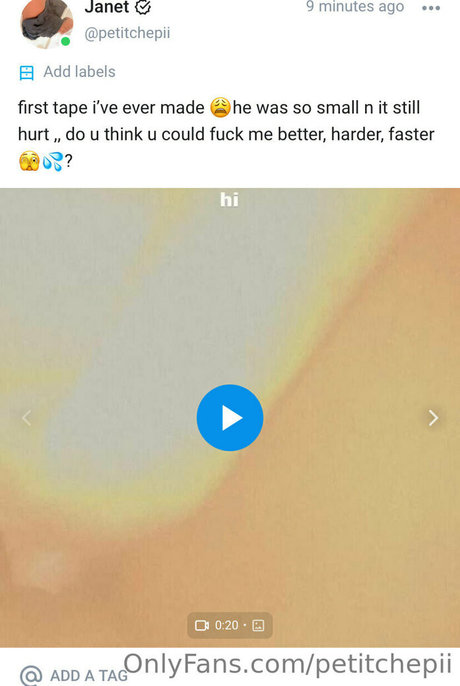 petitchepii top profile image