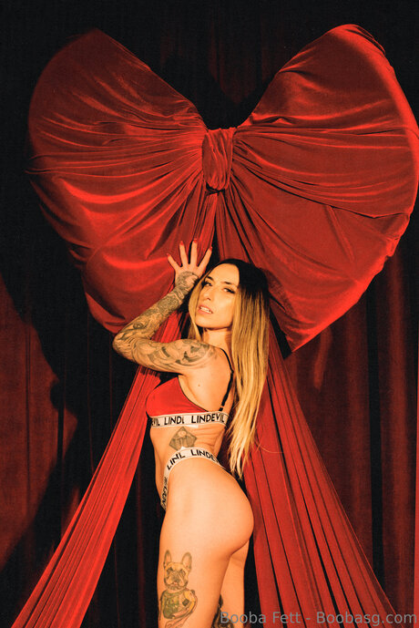 Boobasg pornstar nudes picture