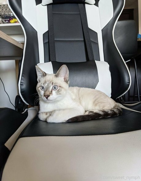 french mature onlyfans hot pic