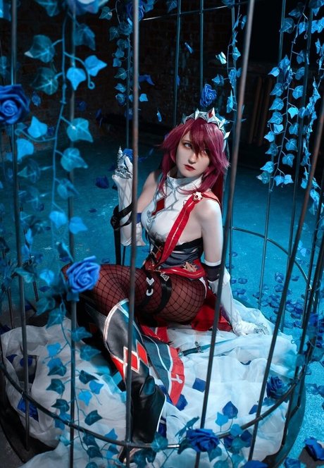 Erodaicon exclusive star galleries