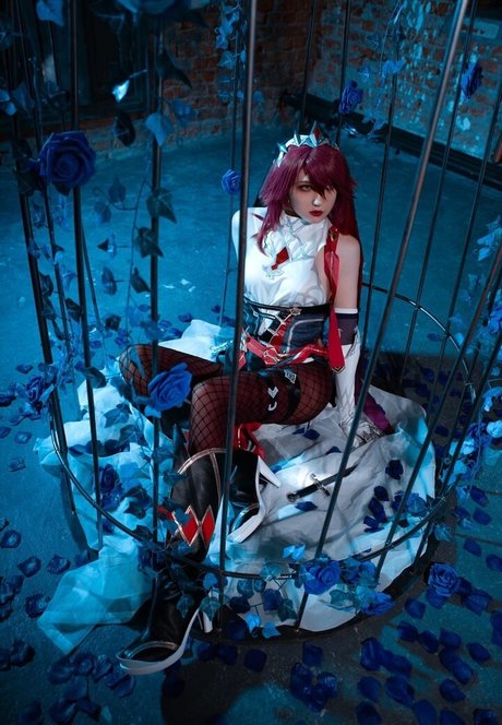 Erodaicon top profile image