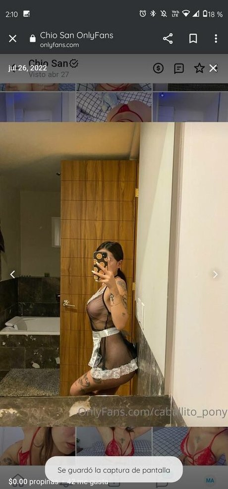 caballito pony model high quality pic