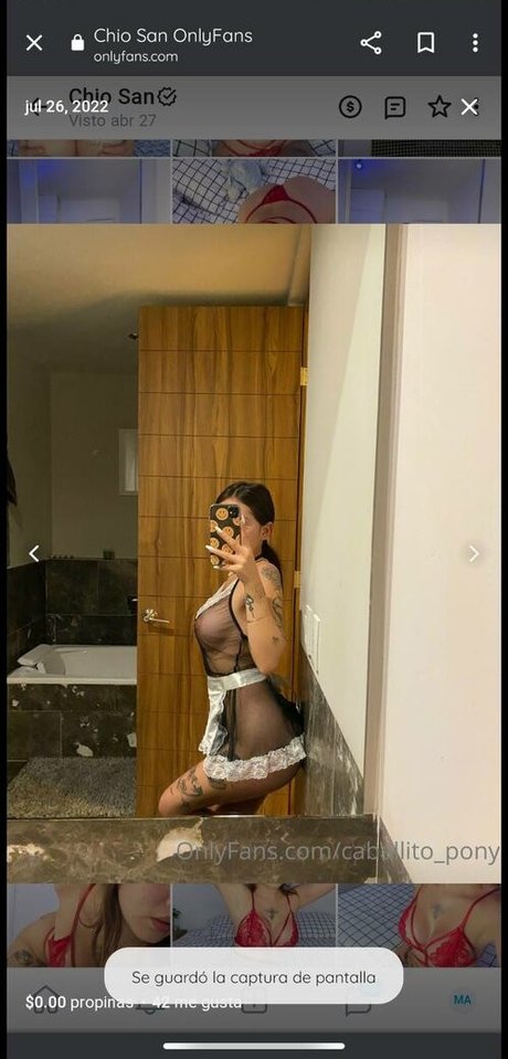 caballito pony model exclusive img