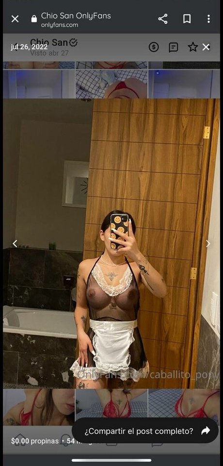 caballito pony pornstar art pic