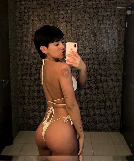 ddebireinoso actress image