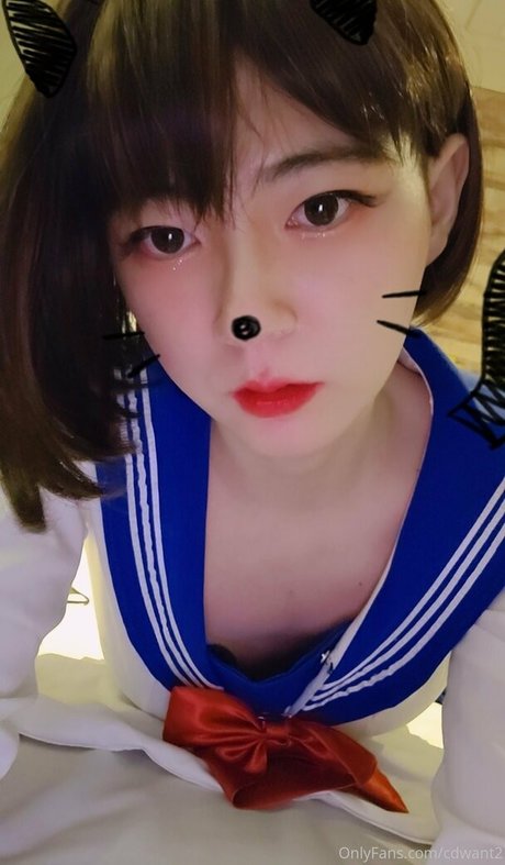 cdwant2 erotic pornstar archive