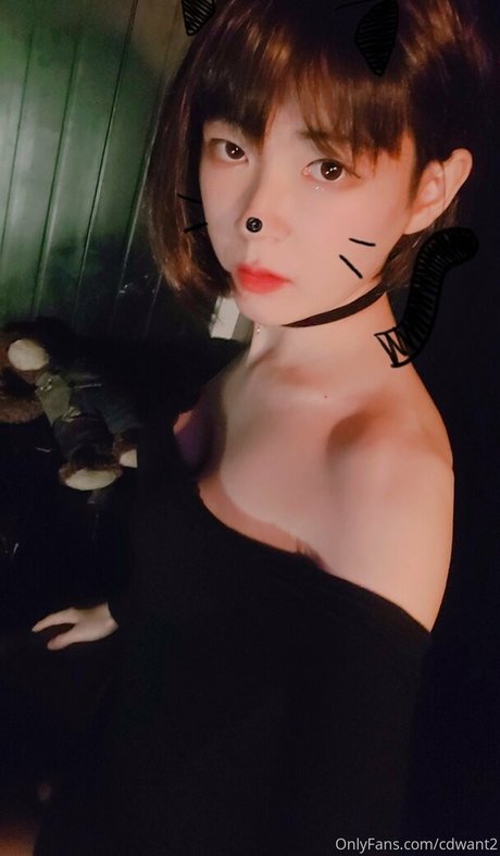 cdwant2 star art photo