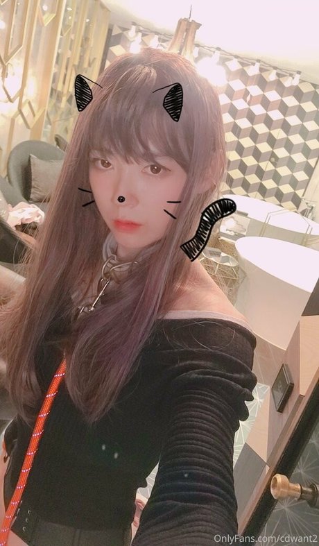 cdwant2 model art picture