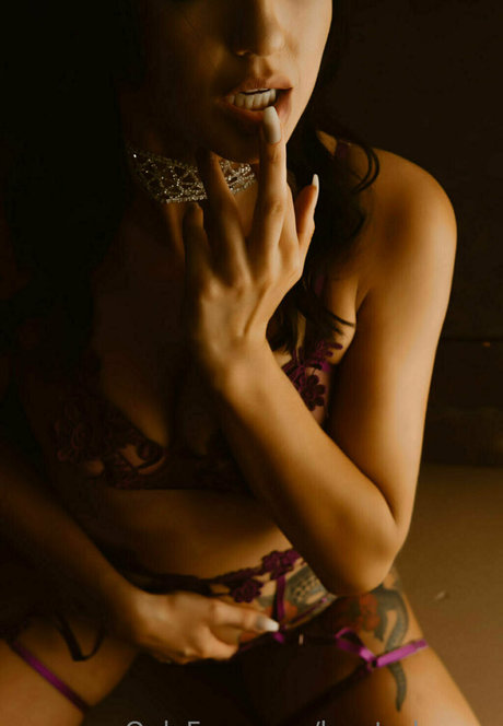 logsterbunny beautiful star archive