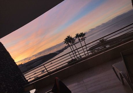 Sarah Neuhaus model art galleries