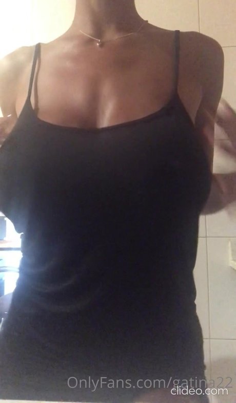 Gatina 22 model nice image