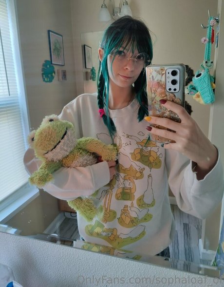 sophaloaf of free star photo