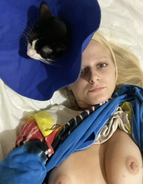 Heavemlysworld free pornstar gallery