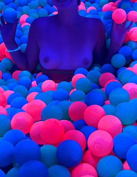 Lottie Blooms pornographic actress galleries