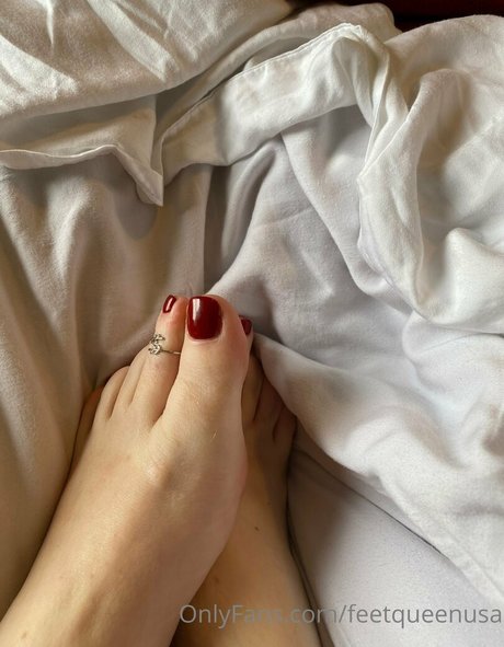 clovers photos star free pictures