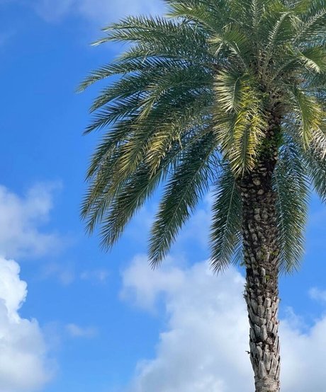 Ashley Hackel profile image