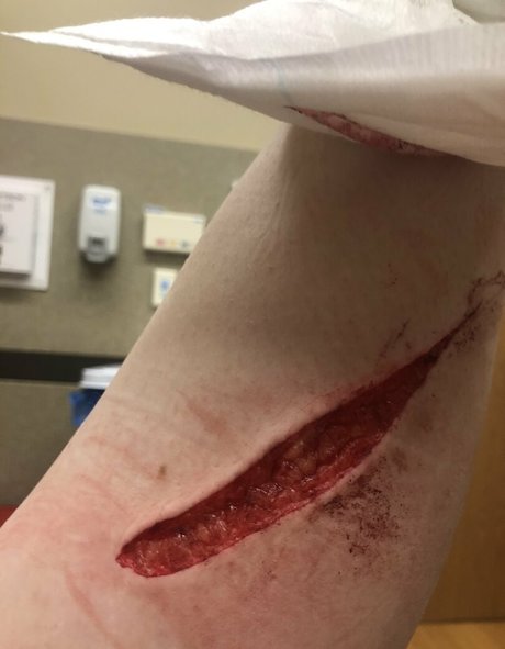 lewdhyena adult star pics