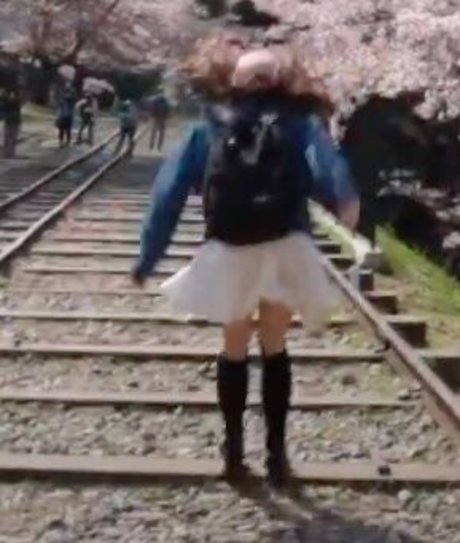 Seerasan profile image