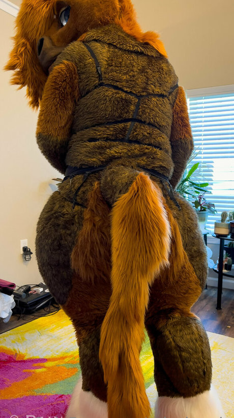 rain horsie best star photo