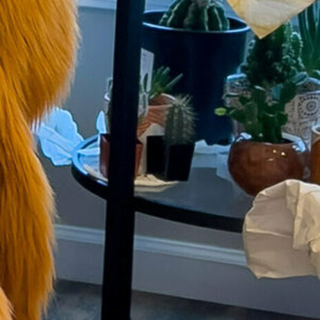 rain horsie xxx model photo