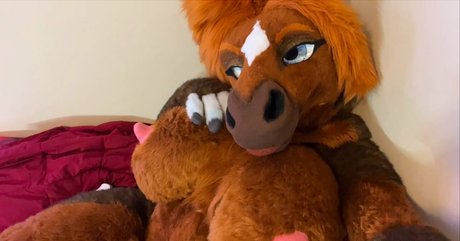 rain horsie model free img