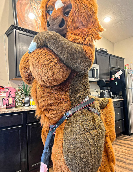 rain horsie beautiful star gallery