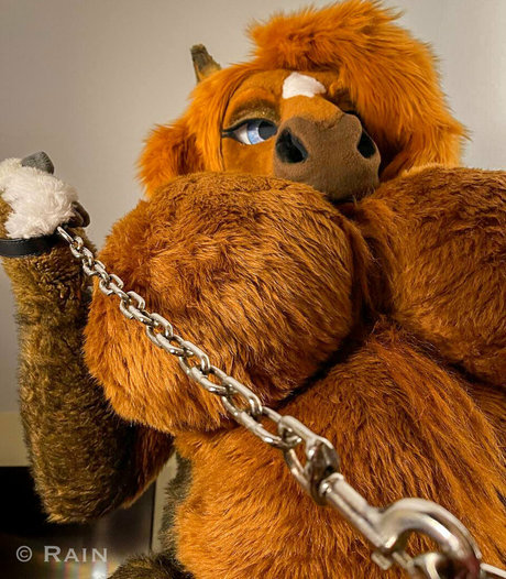 rain horsie pornstar xxx gallery