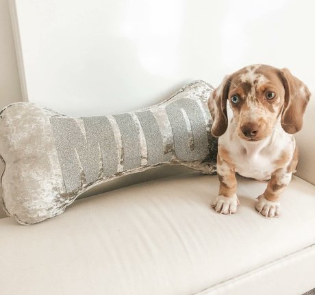 ebony shower onlyfans pornographic gallery