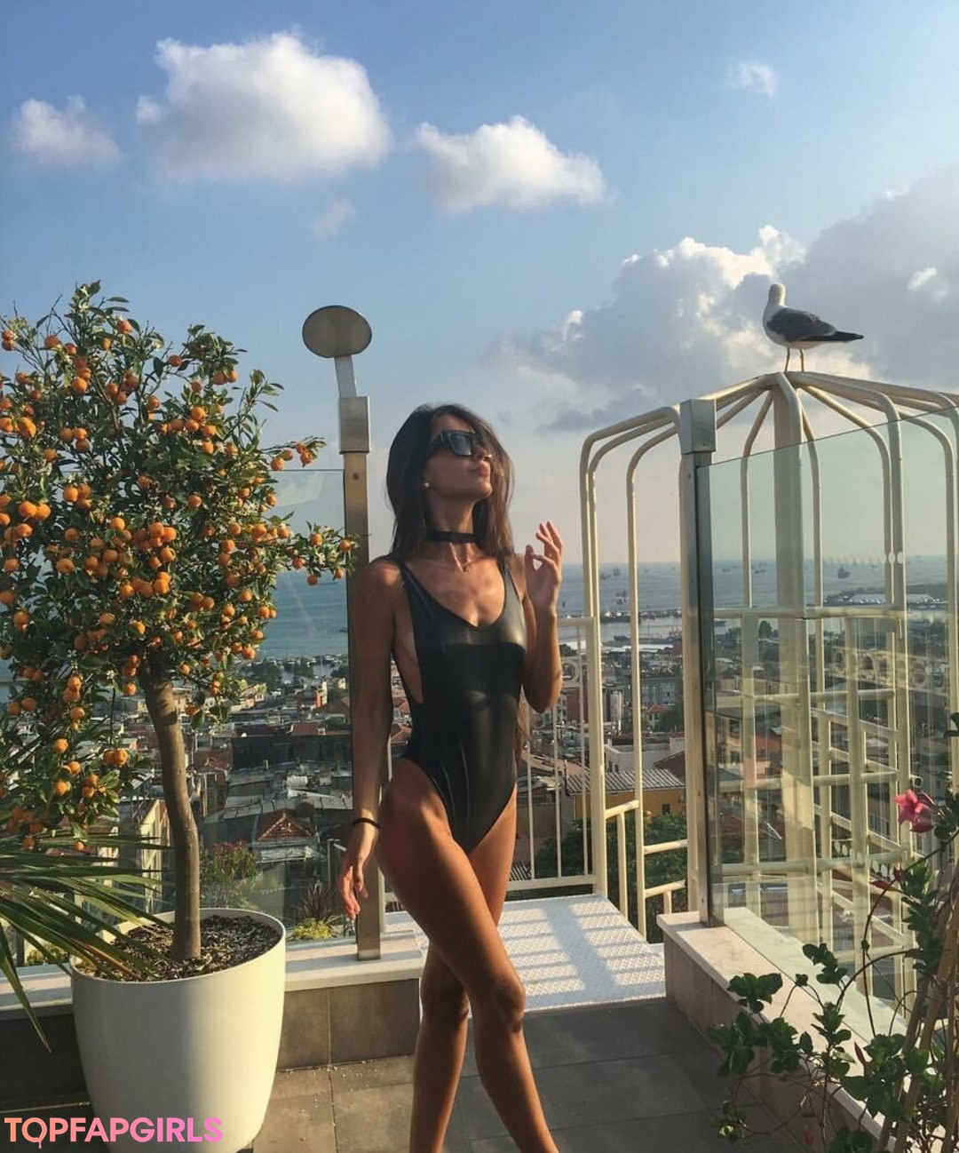 Alicia Londono top profile image