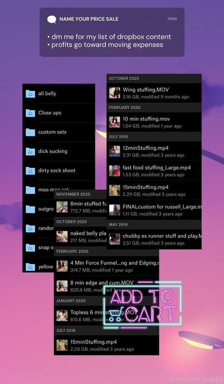 scenecore puppy star art picture