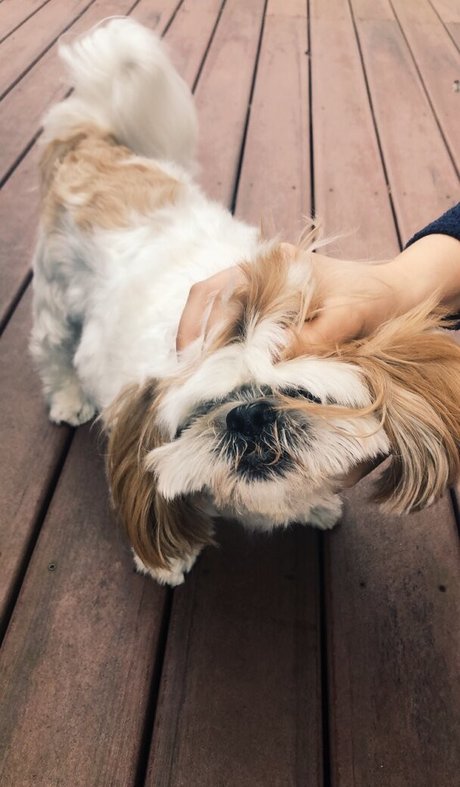 monster tits onlyfans beautiful nude gallery