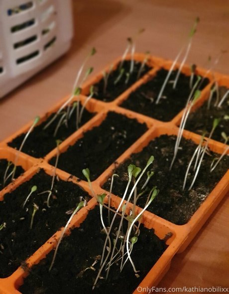 asian hairy onlyfans free porn photos