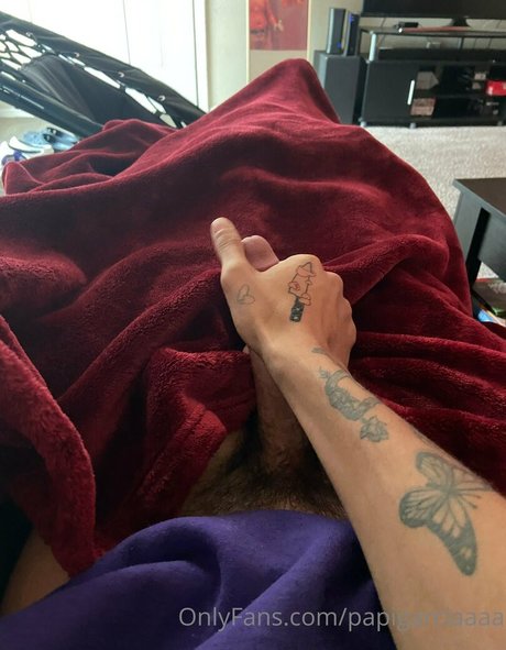 papigarciaaaa high quality model img