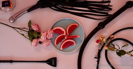 dominatrixwren art pornstar galleries