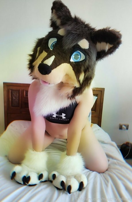 naughtycolliead pornstar nude archive