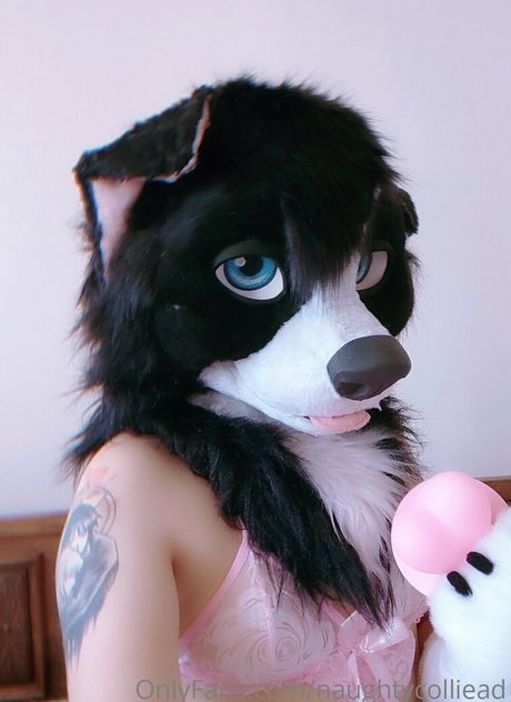 naughtycolliead star high quality img