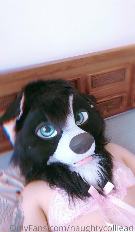 naughtycolliead art pornstar pic