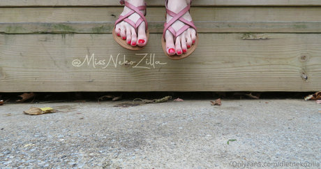 dietnekozilla model pretty galleries