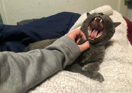 latina teen pussy onlyfans exclusive photos